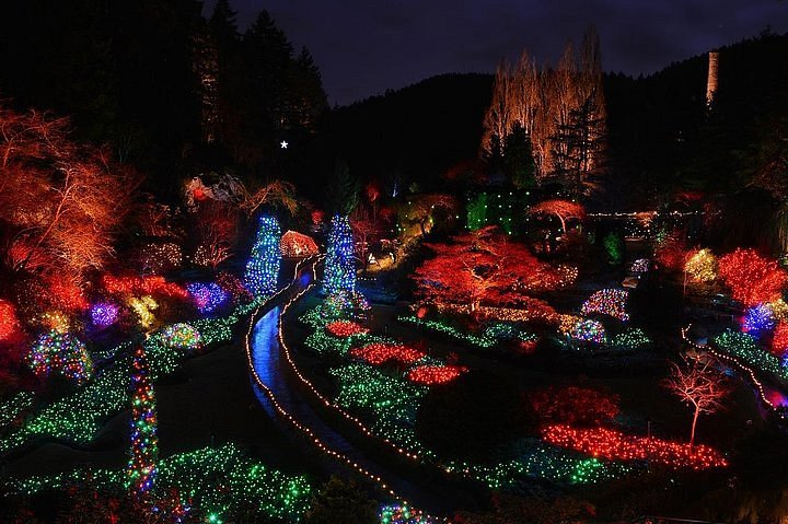 Victoria-Canada Tour - Residential Christmas Light Tour in