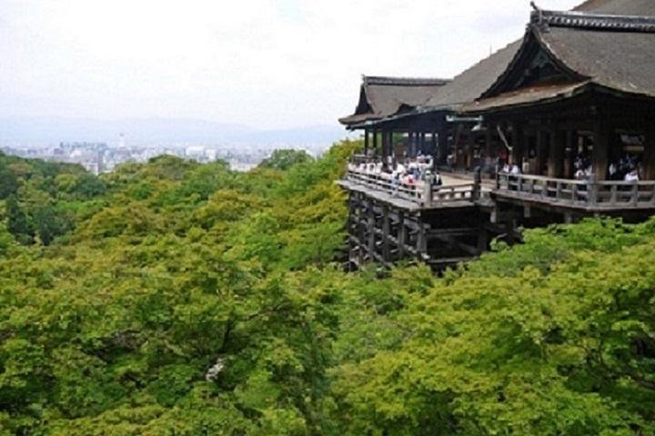 2024 Kyoto One Day Tour Of The Most Popular Places In Kyoto   Caption 