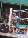 Tripadvisor, Lucha libre (luta livre mexicana) (tour privado) fornecido  pela Unlimited Experiences