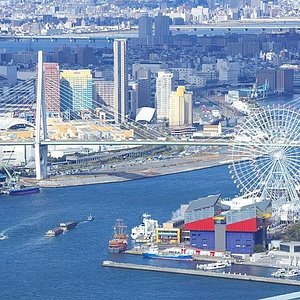 22年 海遊館 行く前に 見どころをチェック トリップアドバイザー