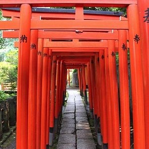 21年 根津神社 行く前に 見どころをチェック トリップアドバイザー