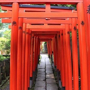 21年 根津神社 行く前に 見どころをチェック トリップアドバイザー 21年 根津神社 行く前に 見どころをチェック トリップアドバイザー