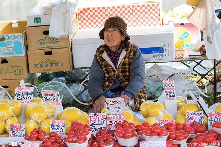 Grave of the Fireflies Fruit Drops – Ghibli Museum Store