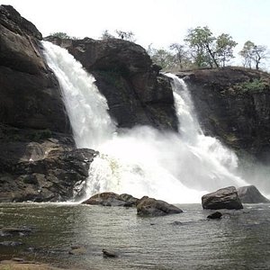 parambikulam nearest tourist places