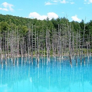 21年 札幌市で絶対外さないおすすめ観光スポットトップ10 定番から穴場まで トリップアドバイザー