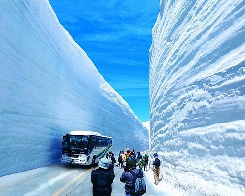 nagano snow tours