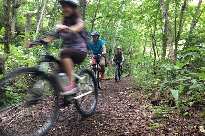 Bike tours near me store