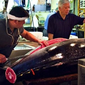 21年 Tohoシネマズ 上野 行く前に 見どころをチェック トリップアドバイザー