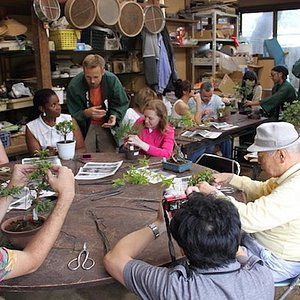 22年 春花園 Bonsai 美術館 行く前に 見どころをチェック トリップアドバイザー