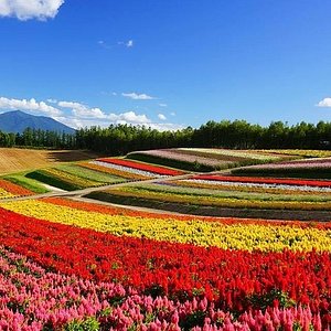 21年 札幌市で絶対外さないおすすめ観光スポットトップ10 定番から穴場まで トリップアドバイザー 21年 札幌市で絶対外さないおすすめ観光スポットトップ10 定番から穴場まで トリップアドバイザー