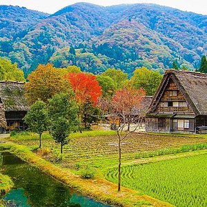 21年 猫神神社 行く前に 見どころをチェック トリップアドバイザー