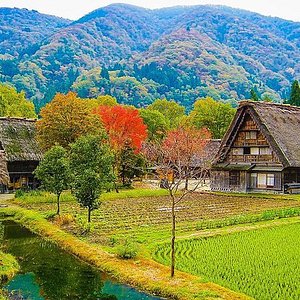 21年 猫神神社 行く前に 見どころをチェック トリップアドバイザー 21年 猫神神社 行く前に 見どころをチェック トリップアドバイザー