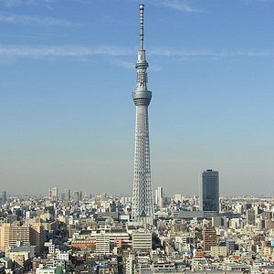 mt fuji tours from shinjuku