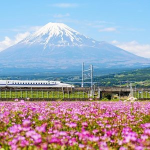 22年 富士宮市で絶対外さないおすすめ観光スポットトップ10 定番から穴場まで トリップアドバイザー