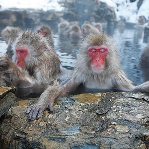 21年 軽井沢 プリンス ショッピングプラザ 行く前に 見どころをチェック トリップアドバイザー 21年 軽井沢 プリンス ショッピングプラザ 行く前に 見どころをチェック トリップアドバイザー
