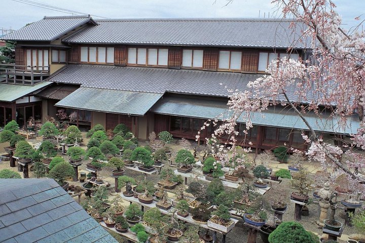 Tripadvisor Shunkaen盆景博物館門票 江戶川區 日本