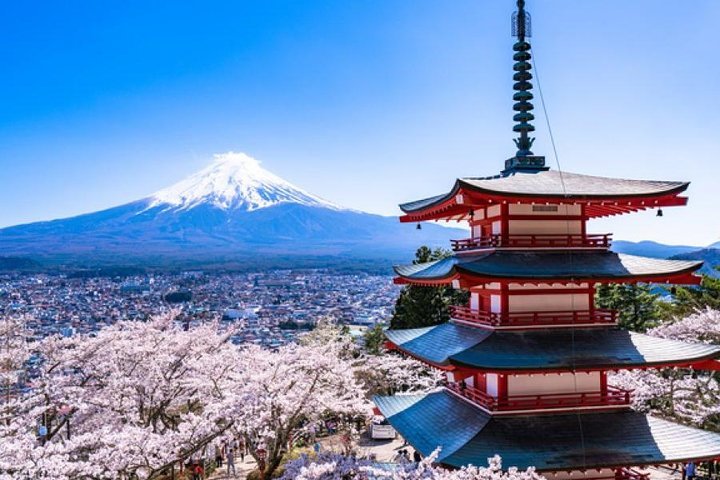 2023 Cherry Blossom Five Story Pagoda Mt Fuji 5th Station Panoramic   Caption 