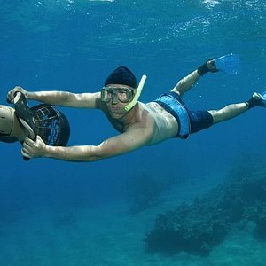 ENEN Pinne Corte da Nuoto e Snorkeling, Pinne Nuoto Piscina Pinne da  Snorkeling per Adulti per Apnea Immersioni e Snorkeling