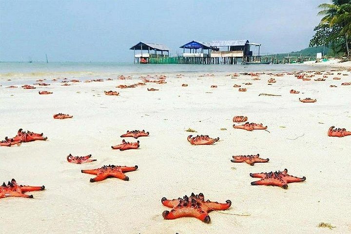 Tripadvisor Visita Al Sur De La Isla De Phu Quoc Y Relájate En La Playa De Sao Ofrecido Por 