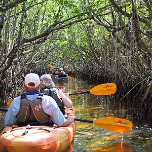 Local Attractions  Exploring Naples, 10,000 Islands and Everglades