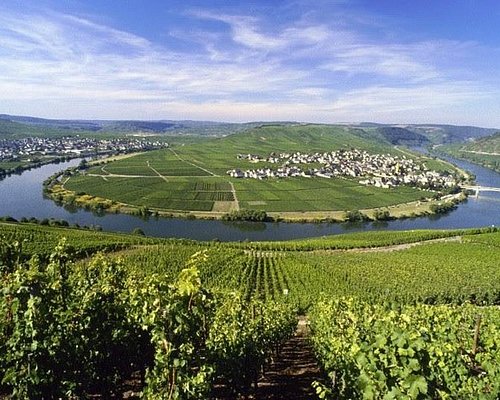 mosel valley tour