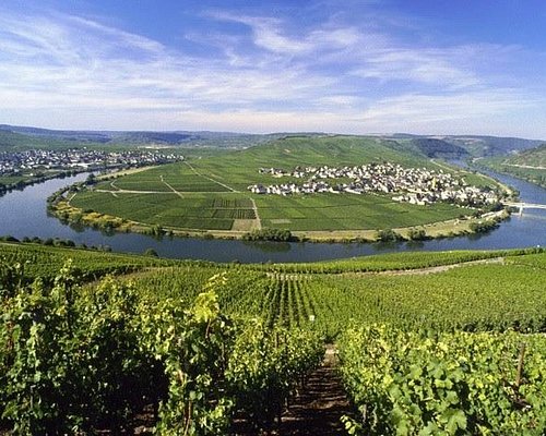 german wine tourism