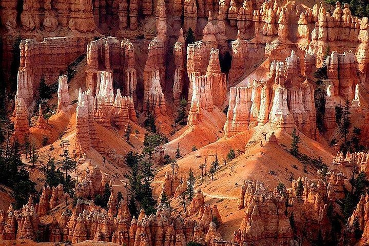 Bryce Canyon and Capitol Reef Hiking Adventure
