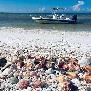 shelling tours fort myers fl