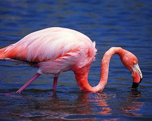 eco tourism in galapagos
