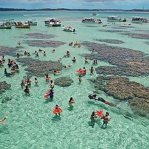 Sabino Turismo image