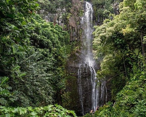 maui legend tours reviews