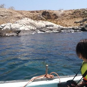 perahu feber gelass dalat