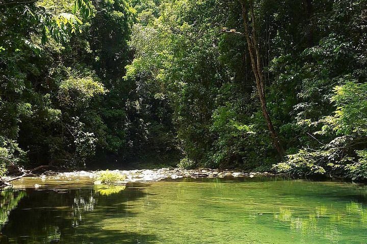 2023 Magical Mermaid Pool and Caroni Swamp - Reserve Now