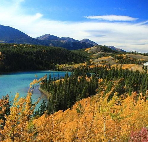 The 15 Best Things To Do In Yukon Updated 2023 Must See Attractions In Yukon Canada 3978