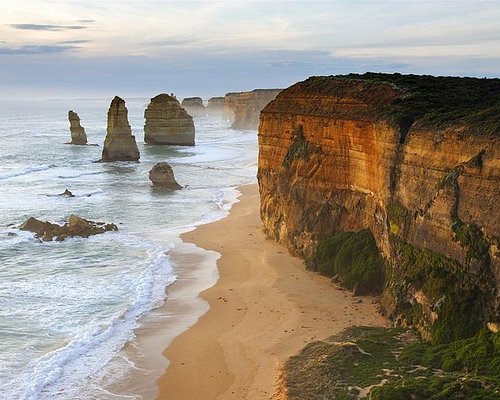 day tour to great ocean road
