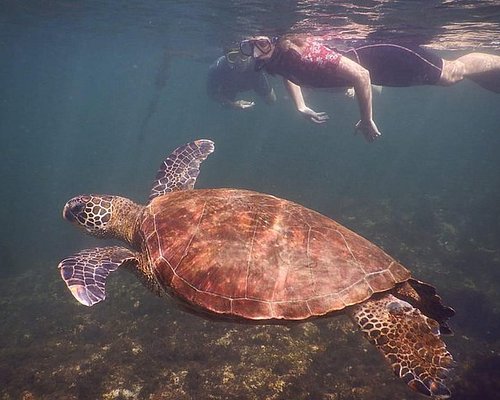 eco tourism in galapagos