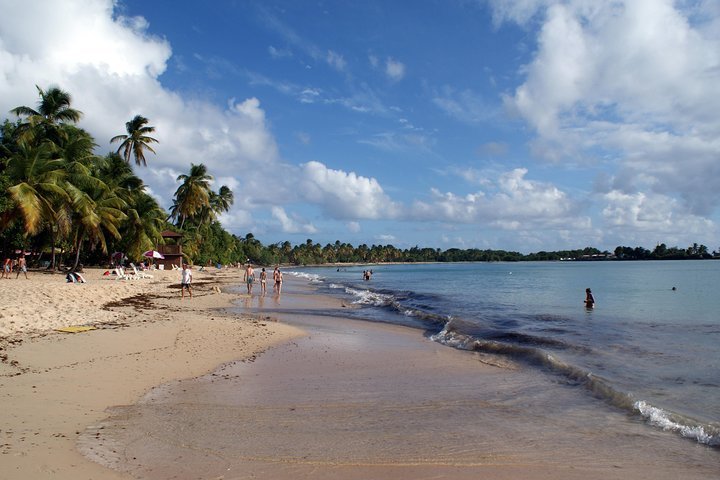 2023 Salines Beach with a Rum-Distillery Stop provided by Anoli Tours