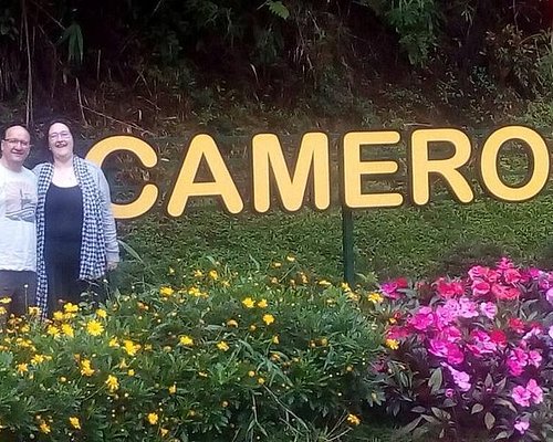 discover cameron travel & tour services