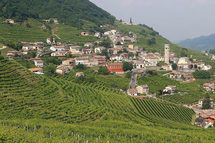 I MIGLIORI 5 Tour dei vini e degustazioni a Asolo Aggiornato 2024