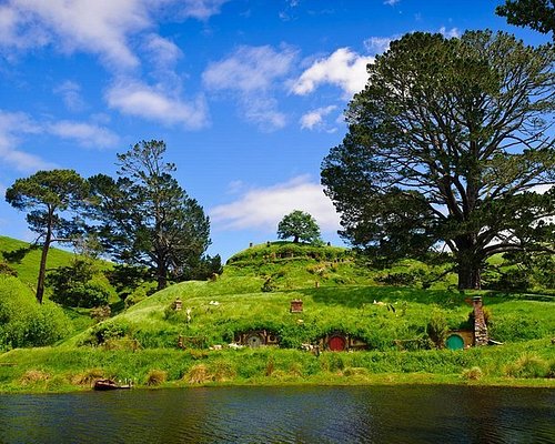 great day trips from auckland