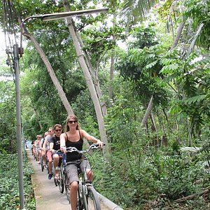 bangkok green lung bike tour