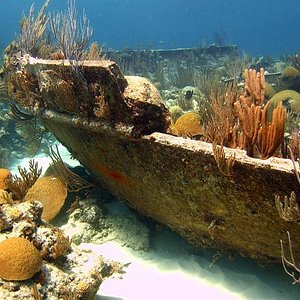 bermuda shipwreck tour