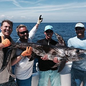 Marlin Fishing in Florida - iOutdoor Fishing Adventures