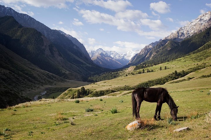 2023 Horse riding in Chong Kemin National Park with the visit to ...