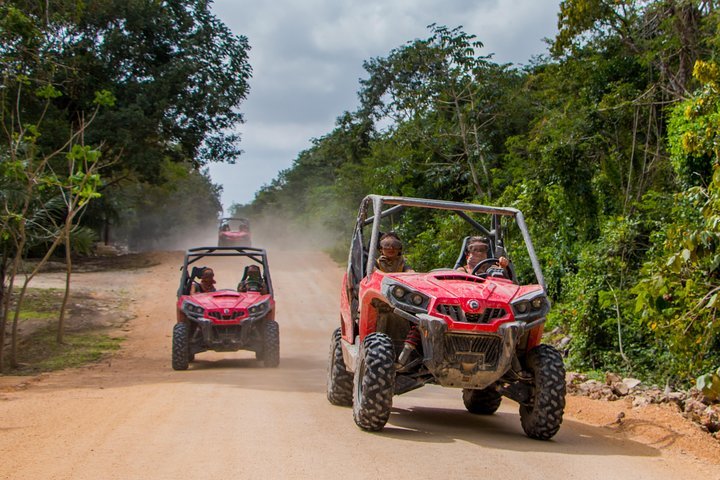 Jungle cheap buggy ride