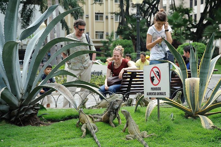 2024 Guayaquil Explore And Discover Provided By Viajeturecuador   Caption 