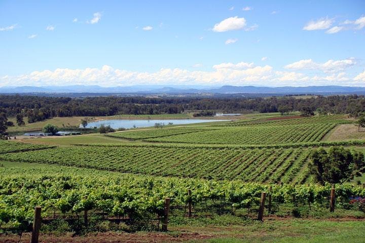 2023 Private Hunter Valley Wine-Tasting Day Tour From Sydney