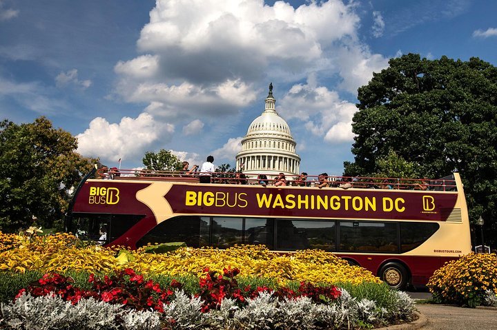 BIG BUS TOURS (Washington DC) - 2023 What To Know BEFORE You Go