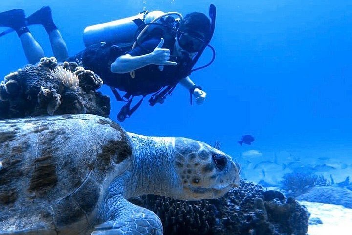 tulum diving cozumel