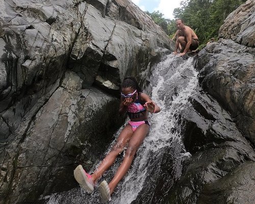 (Private) El Yunque tour - Transportation Included / 7am-12pm or 12pm-5pm